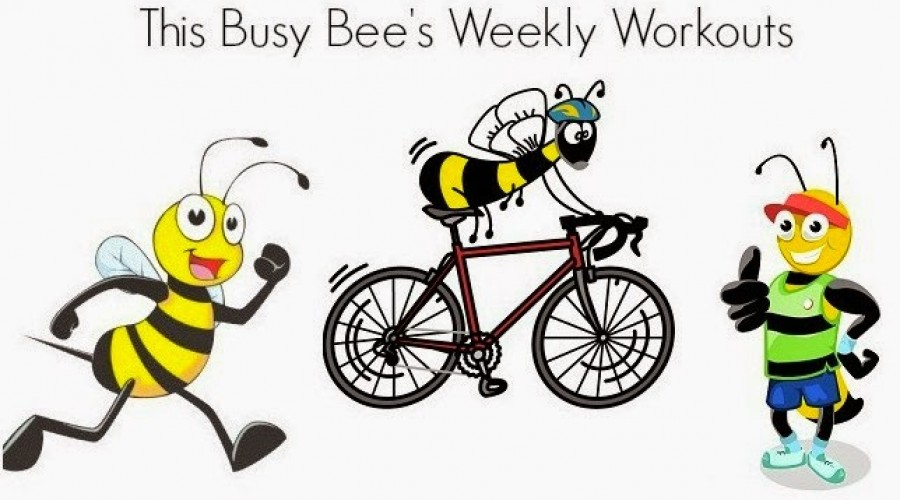 This Busy Bee’s Workouts: Week 3