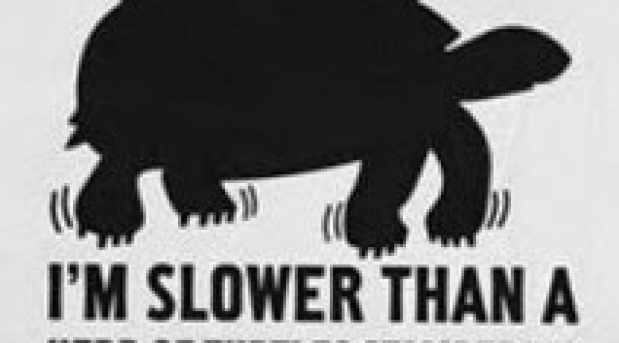 This Busy Bee’s Workouts: Week 4