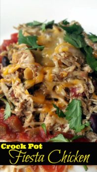 Crock Pot Fiesta Chicken – Aunt Bee's Recipes