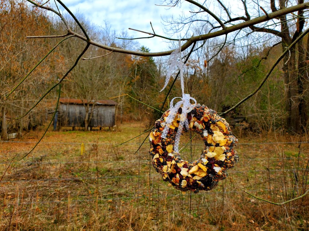  Fai da te uccello Seed Wreath 