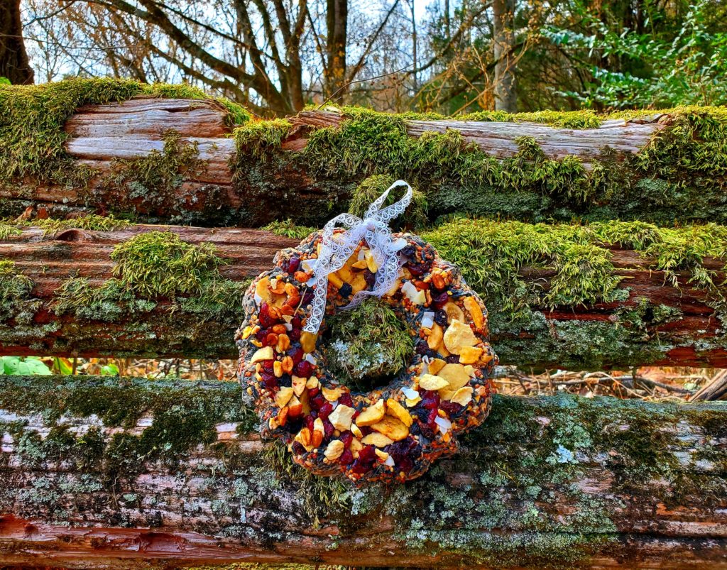 DIY BIrd Seed Wreath 