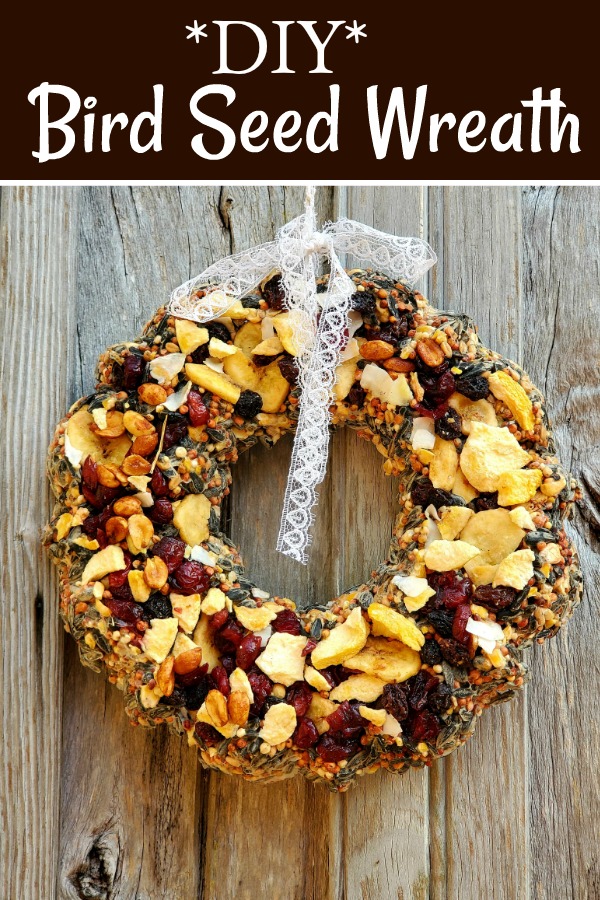 mini bird seed wreath